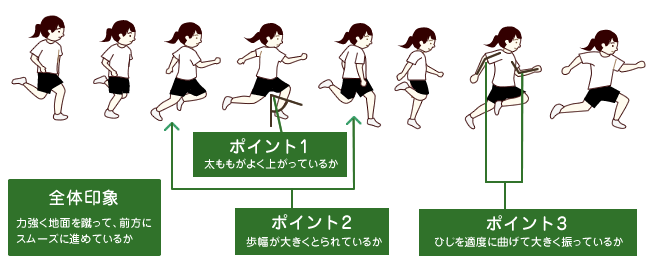 観察のポイント:走る 全体印象 力強く地面を蹴って、前方に
スムーズに進めているか ポイント1 太ももがよく上がっているか ポイント2 歩幅が大きくとられているか ポイント3 ひじを適度に曲げて大きく振っているか